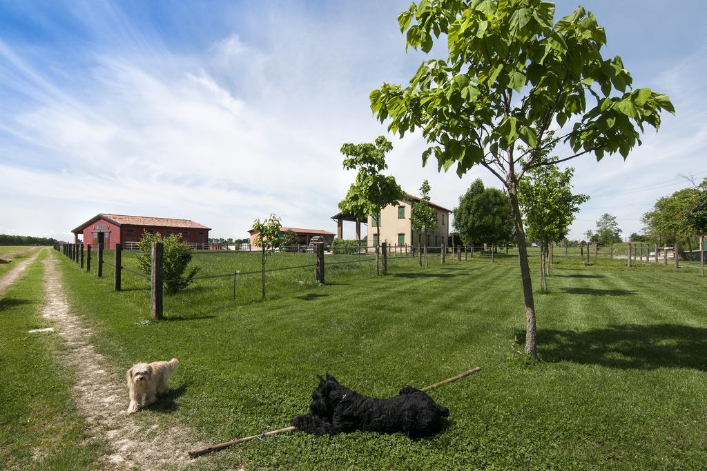 Agriturismo Santa Barbara Villa Mira Dış mekan fotoğraf