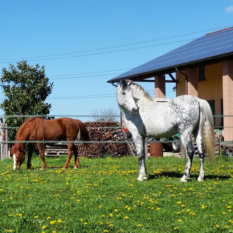 Agriturismo Santa Barbara Villa Mira Dış mekan fotoğraf